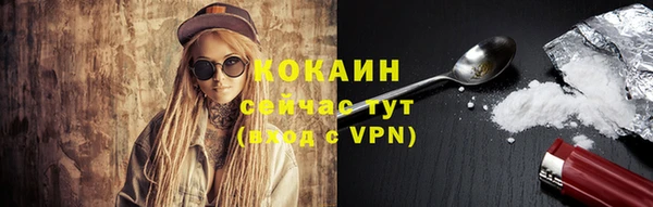 мяу мяу мука Аркадак