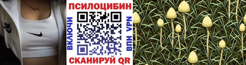 купить  сайты  Руза  Галлюциногенные грибы Cubensis 