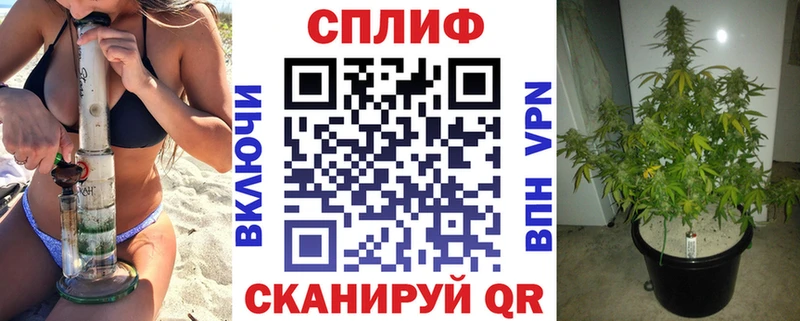 Бошки Шишки VHQ  KRAKEN маркетплейс  Руза 